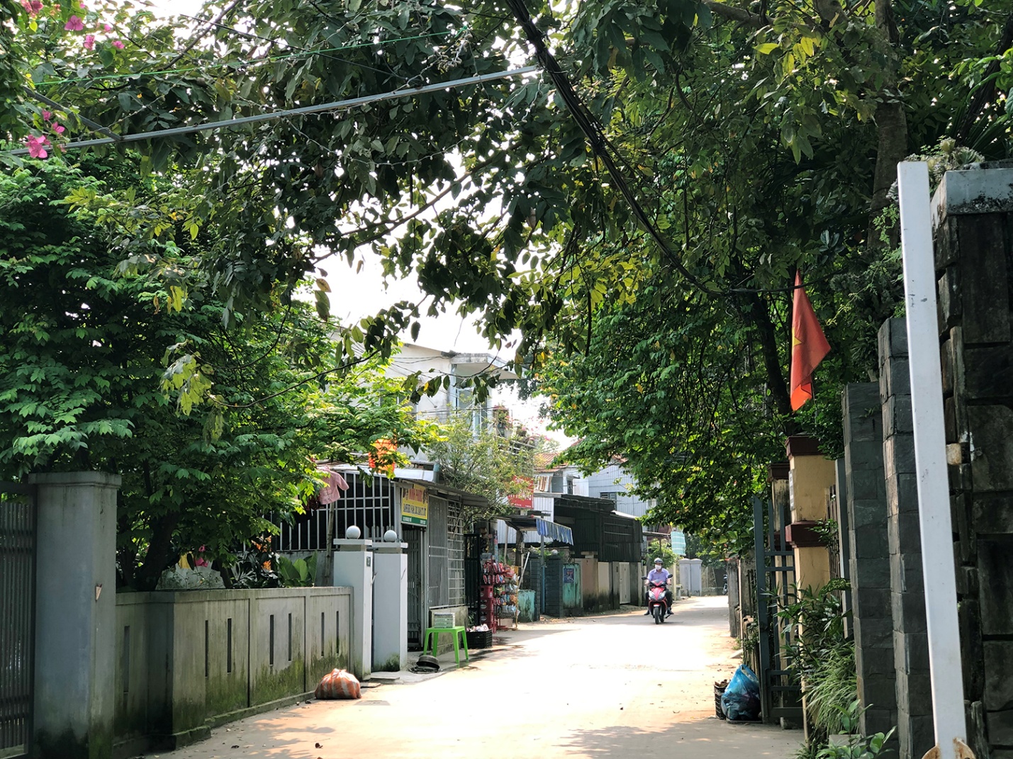 “Ở đây thôn Vỹ Dạ”, lạc bước giữa miền quê êm ả - 3