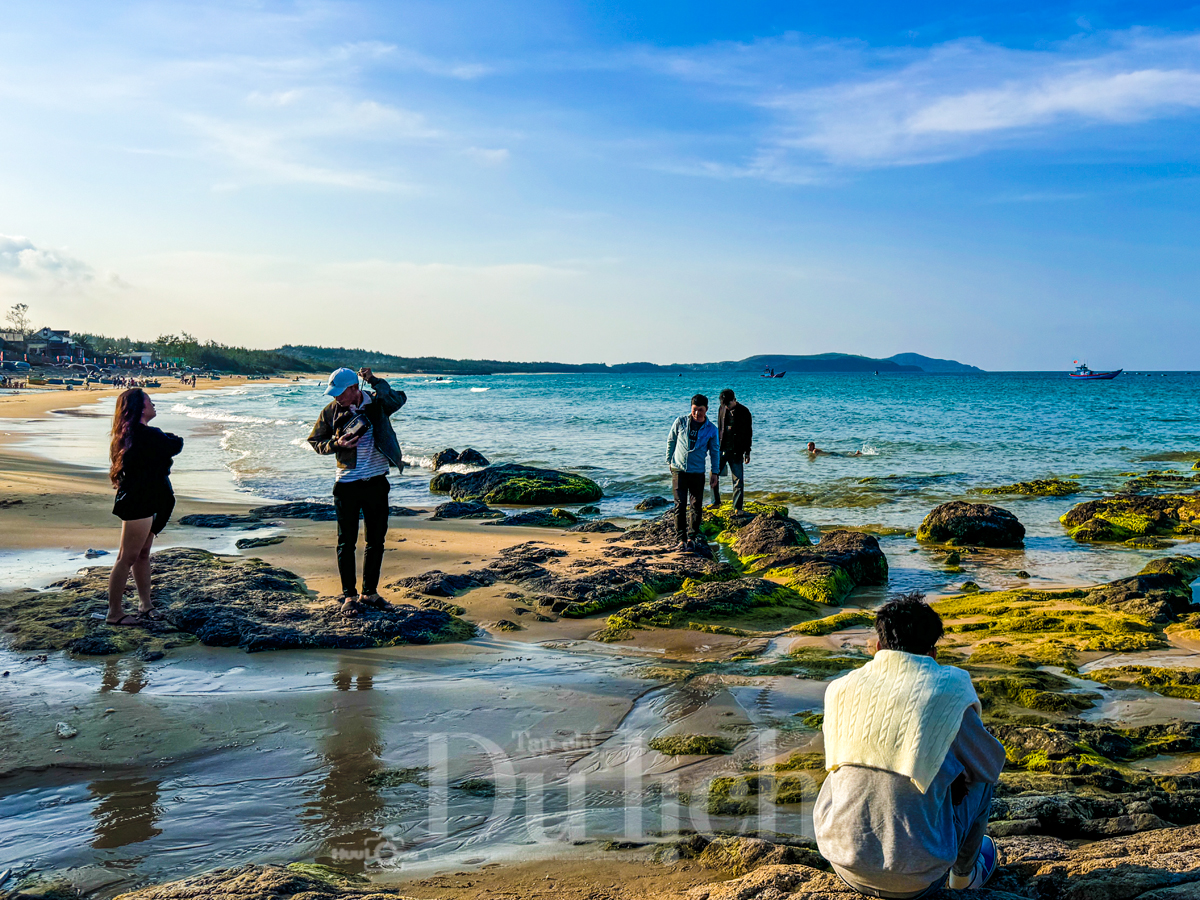 Biển chiều Lệ Thủy, du bước bên gành đá nghe hàng dương ru hát ngàn năm - 5