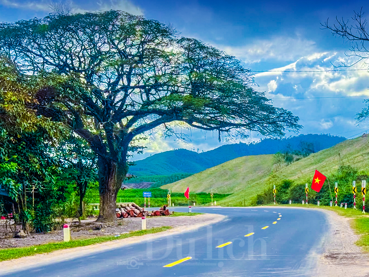 Biển chiều Lệ Thủy, du bước bên gành đá nghe hàng dương ru hát ngàn năm - 2