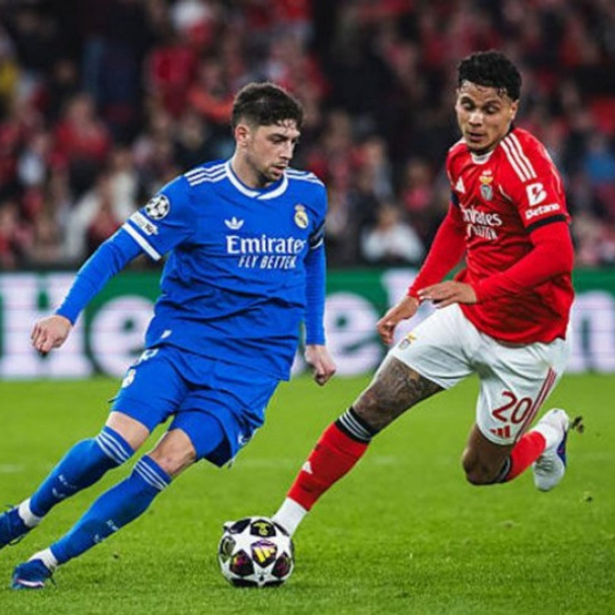  - Trực tiếp bóng đá Real Madrid - Benfica: Mbappe vắng mặt, cơ hội cho Gonzalo Garcia (Cúp C1)