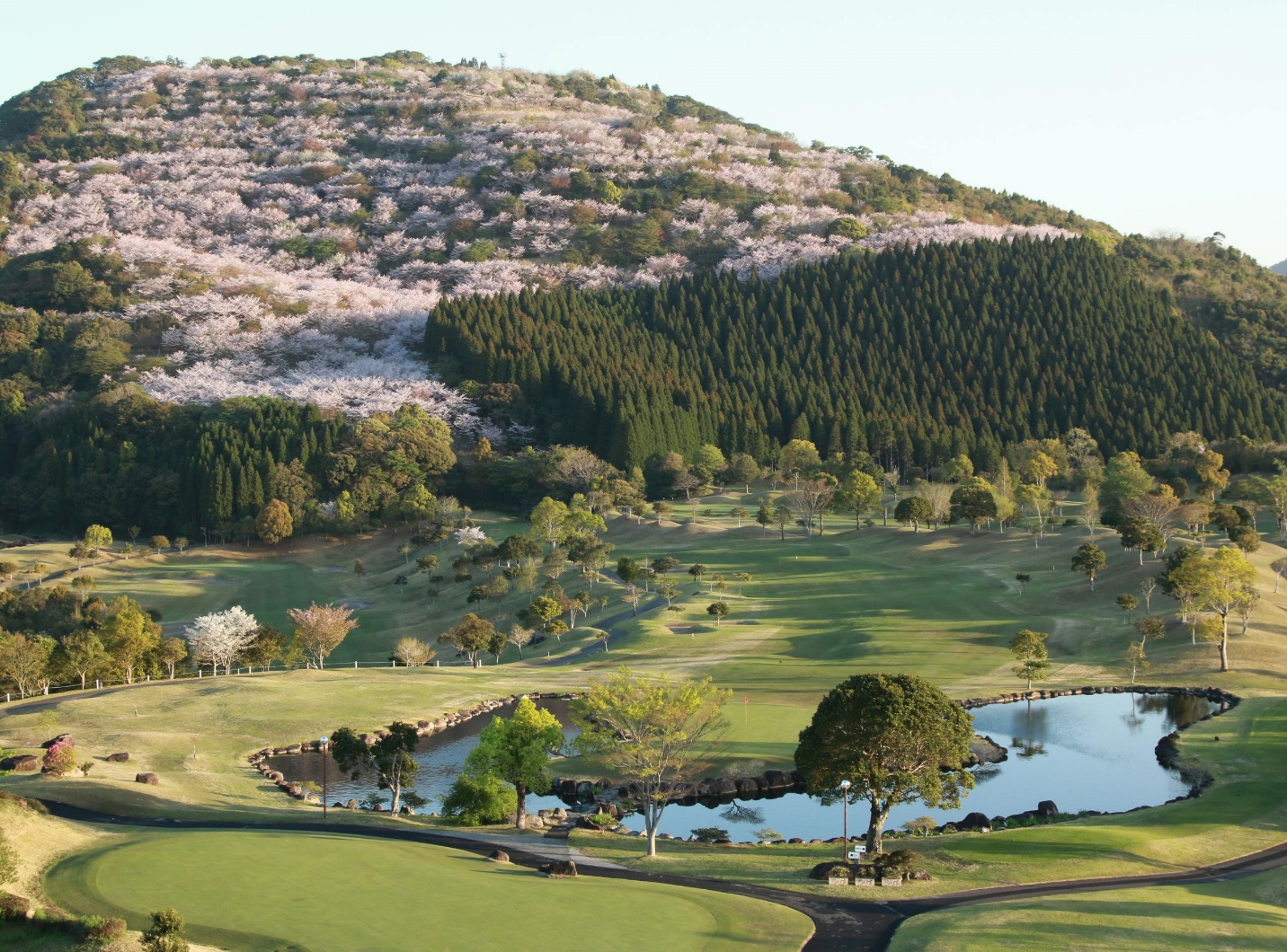 Kyushu – Nơi hoa anh đào nở sớm nhất tại Nhật Bản - 12