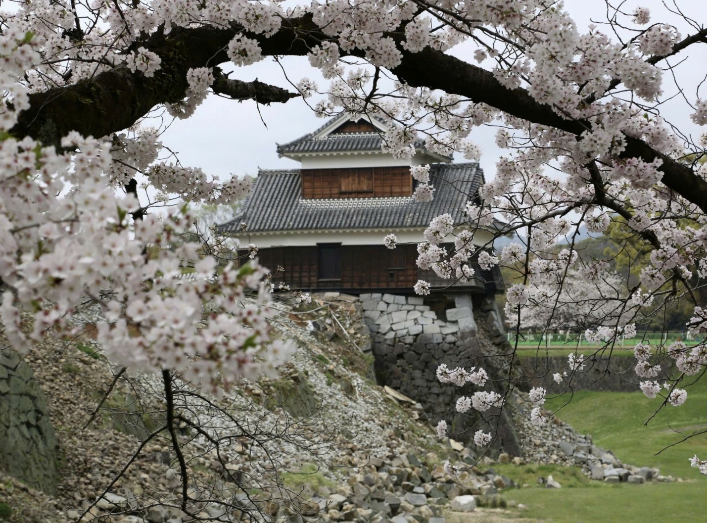 Kyushu – Nơi hoa anh đào nở sớm nhất tại Nhật Bản - 3