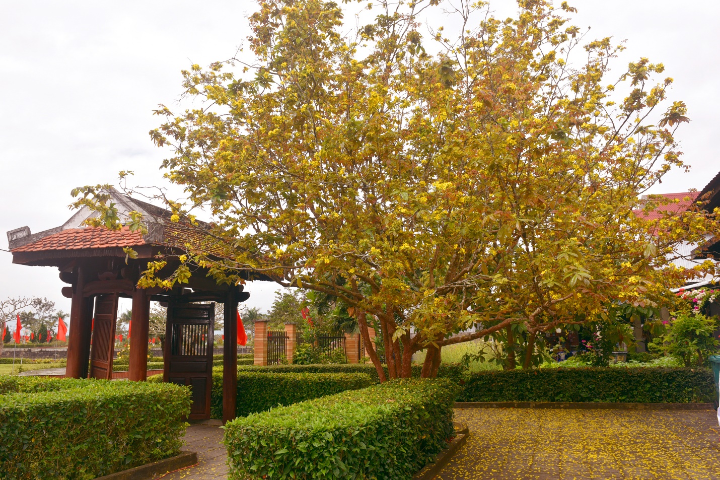 hon 1.500 hien vat tai hien cuoc doi vi nuoc, vi dan cua thu tuong pham van dong - 10