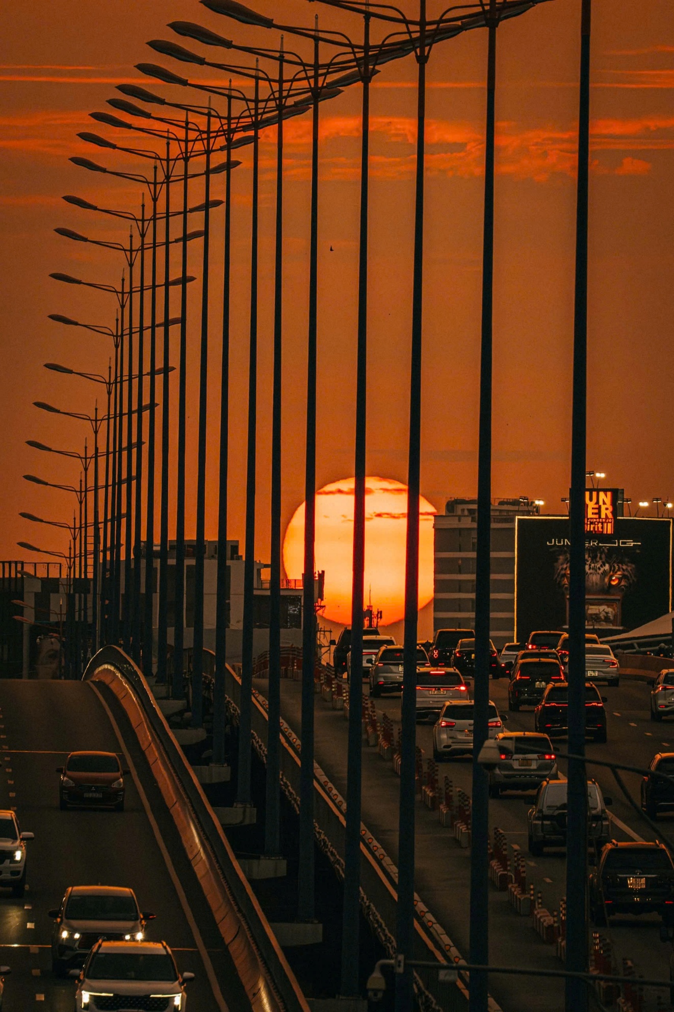 Hoàng hôn như 'lòng đỏ trứng' dưới chân cầu Sài Gòn - 6