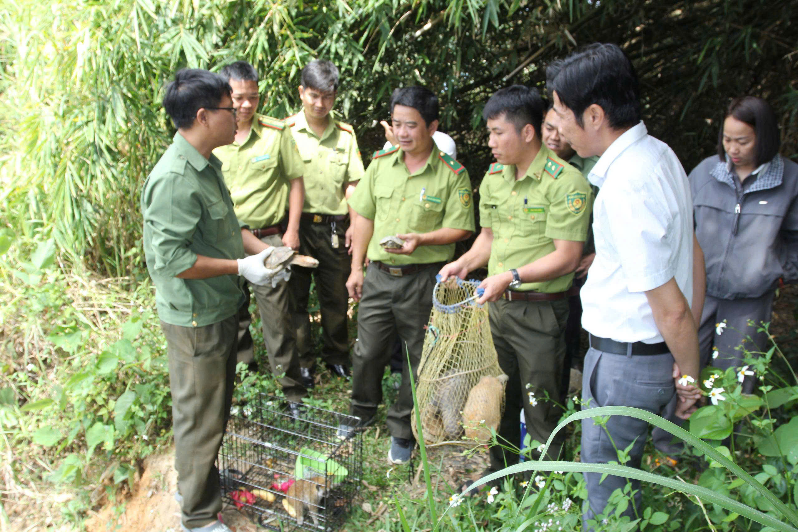 Thả nhiều động vật hoang dã về Vườn Quốc gia Chư Yang Sin - 1