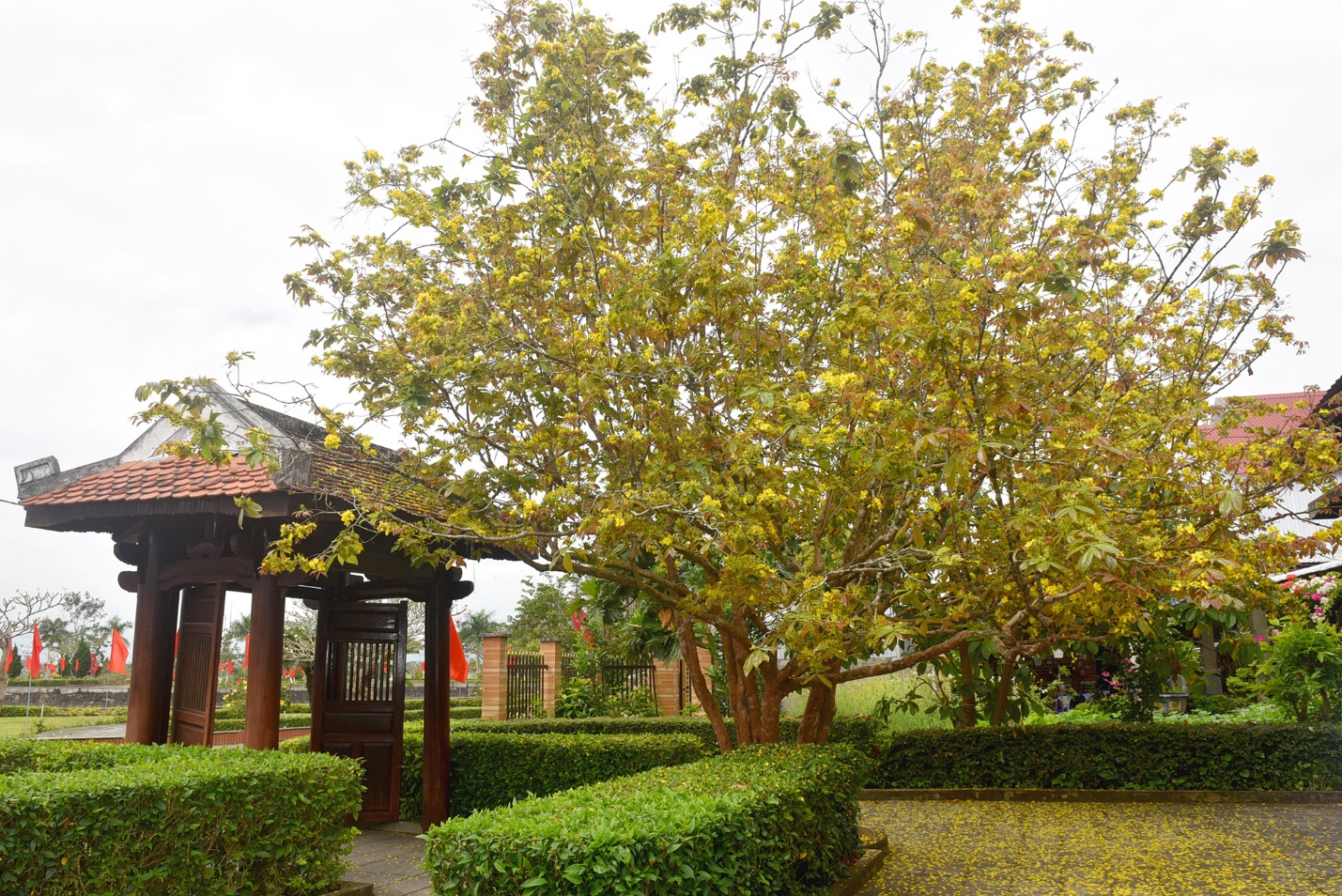 lanh dao dang, nha nuoc du le ky niem  120 nam ngay sinh thu tuong pham van dong - 13