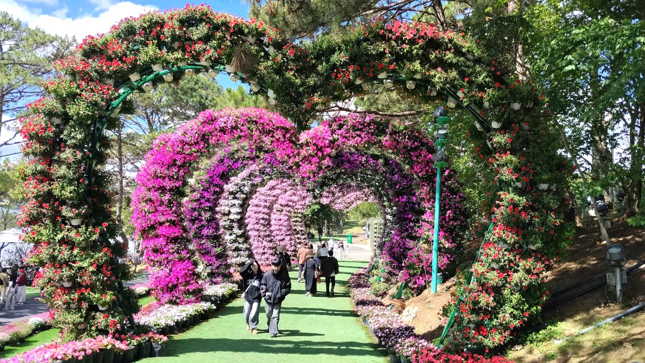 Trung tâm Đà Lạt xuất hiện điểm tham quan, check-in mới - 1