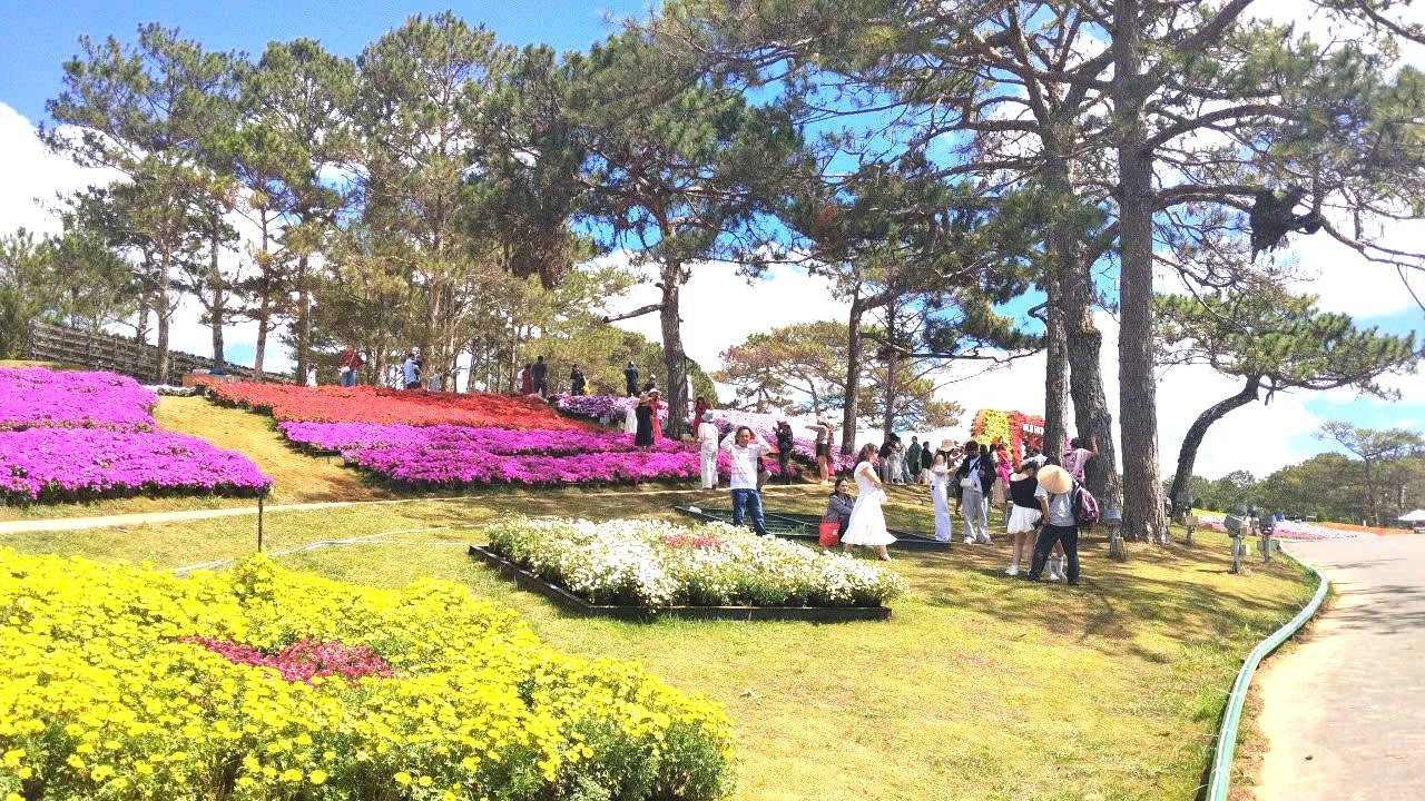 Trung tâm Đà Lạt xuất hiện điểm tham quan, check-in mới - 3