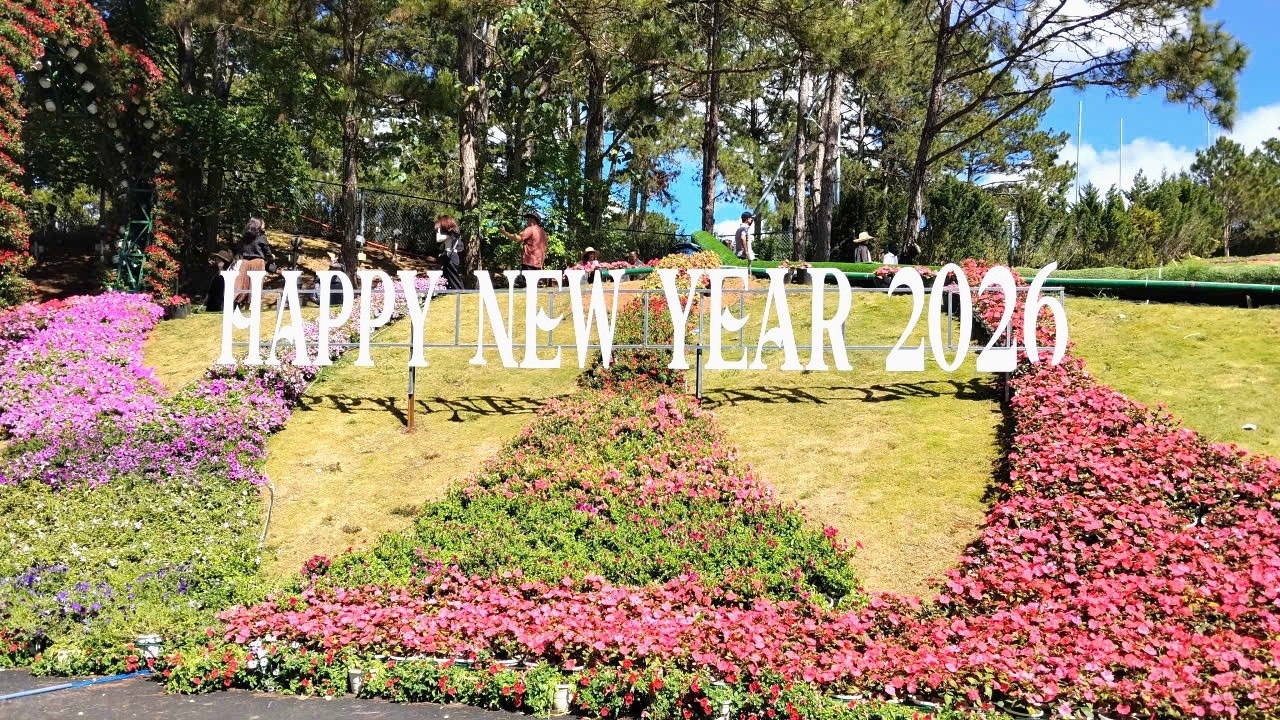 Trung tâm Đà Lạt xuất hiện điểm tham quan, check-in mới - 4