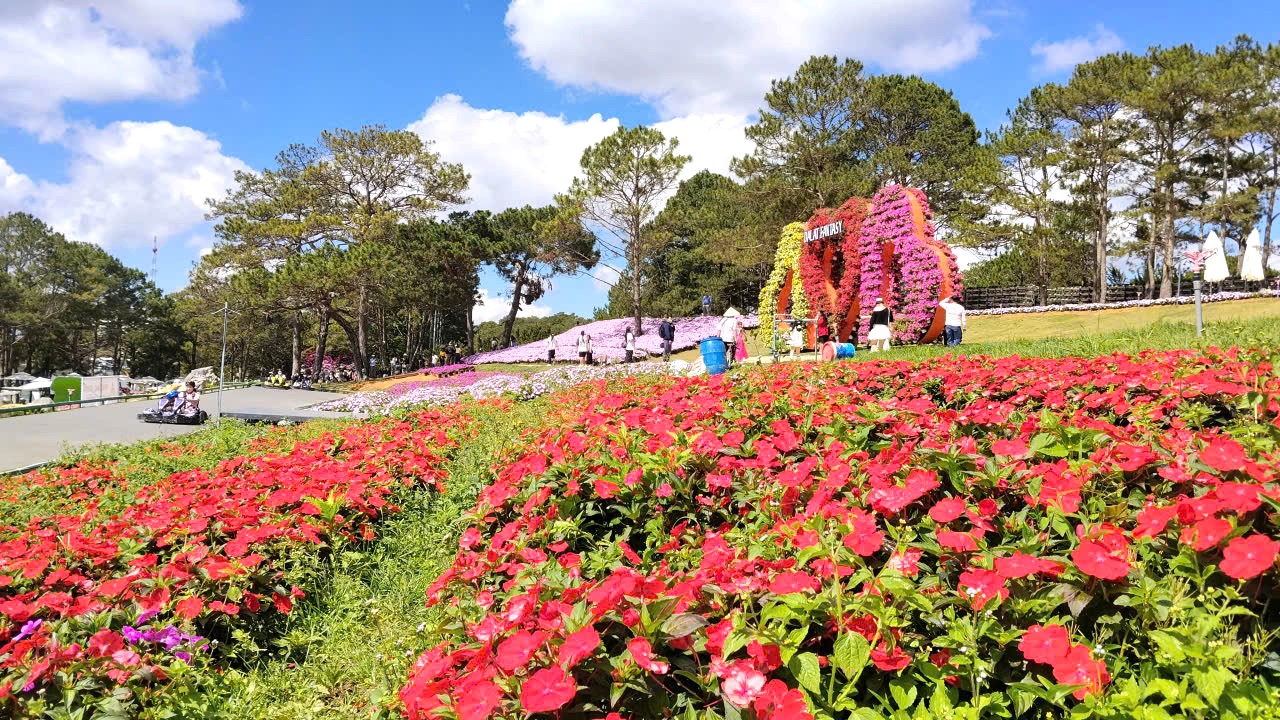 Trung tâm Đà Lạt xuất hiện điểm tham quan, check-in mới - 6