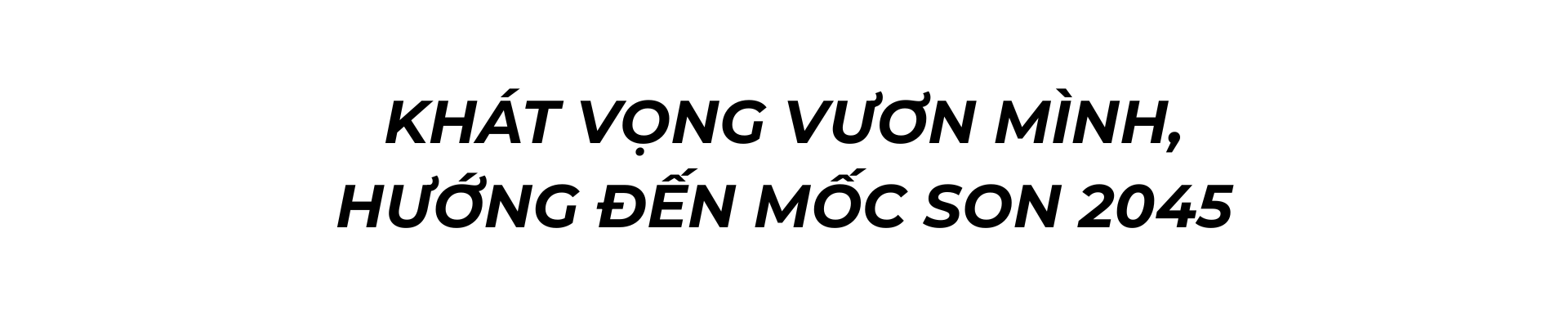 tong tuyen cu 2026: kien tao 'ky nguyen vuon minh', xay dung viet nam phon thinh - 12