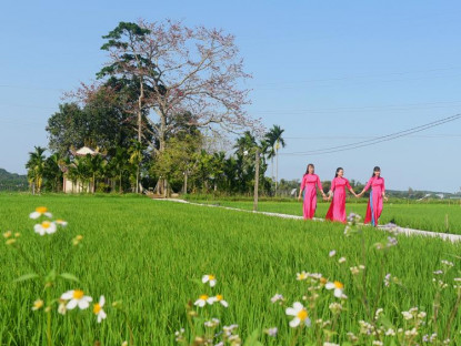  - Cây gạo hơn 100 tuổi  bung nở rực rỡ chào đón Xuân Bính Ngọ độc đáo ở Quảng Ngãi