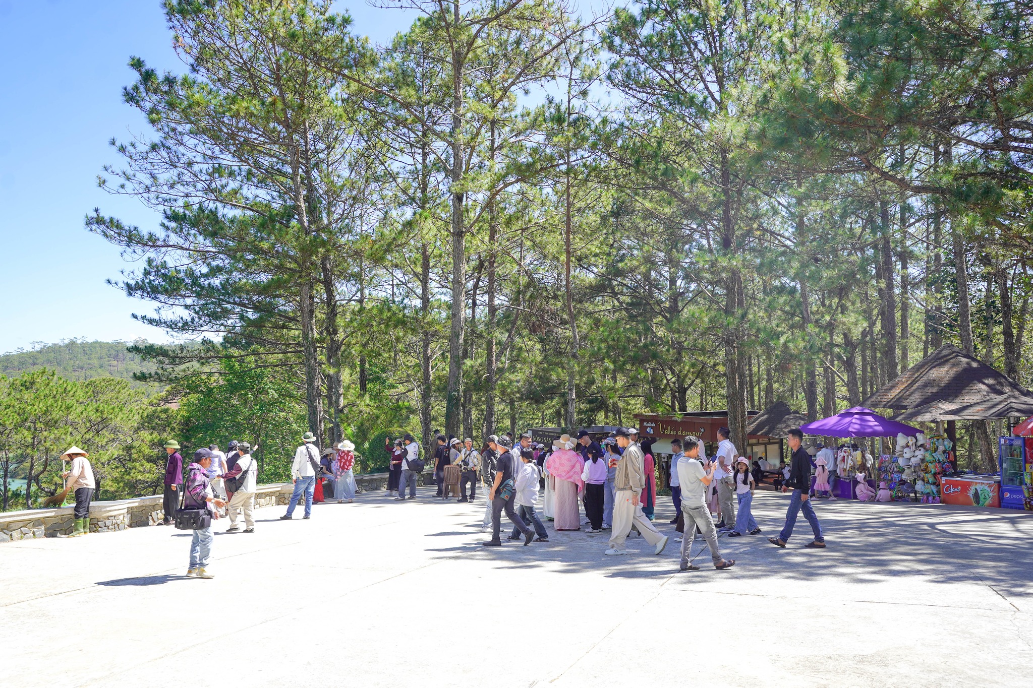 Lâm Đồng tăng cường quảng bá điểm đến thu hút du khách - 1