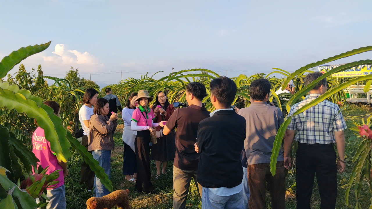 Lâm Đồng tăng cường quảng bá điểm đến thu hút du khách - 7