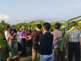 Sự kiện đặc sắc - Lâm Đồng tăng cường quảng bá điểm đến thu hút du khách