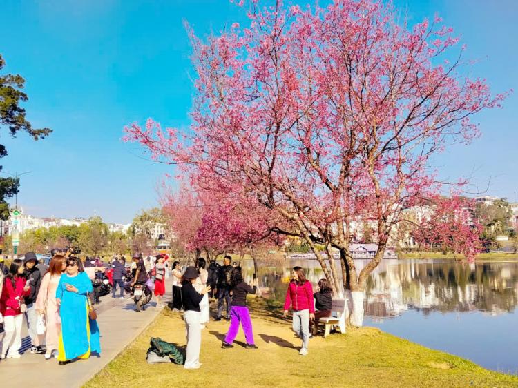 Đà Lạt và Phú Quý nằm trong danh sách điểm đến thân thiện nhất Việt Nam