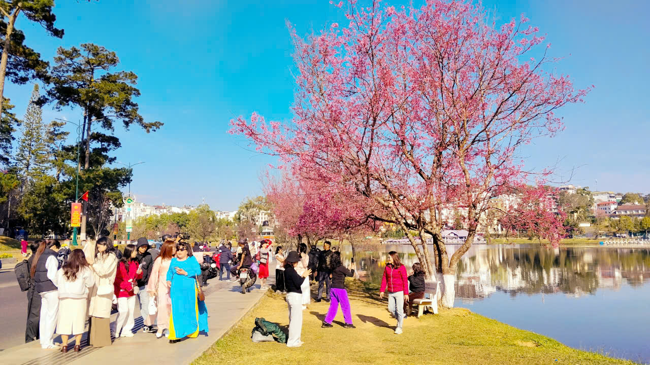 Đà Lạt và Phú Quý nằm trong danh sách điểm đến thân thiện nhất Việt Nam - 1