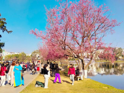  - Đà Lạt và Phú Quý nằm trong danh sách điểm đến thân thiện nhất Việt Nam