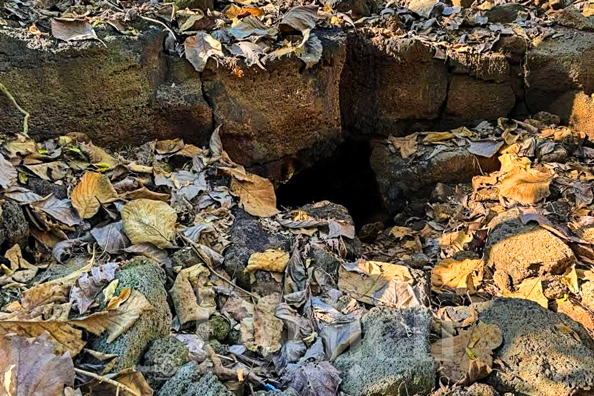 Theo dấu truyền thuyết “Cọp ba móng” trong rừng già Đồng Nai Thượng - 9