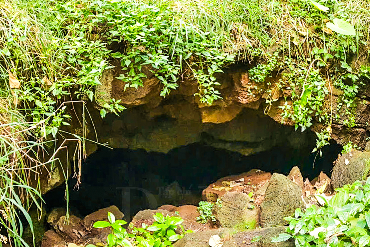 Theo dấu truyền thuyết “Cọp ba móng” trong rừng già Đồng Nai Thượng - 6