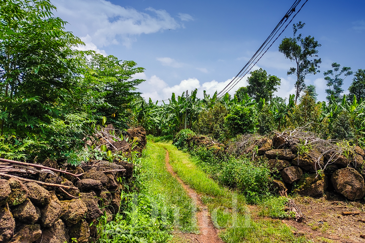 Theo dấu truyền thuyết “Cọp ba móng” trong rừng già Đồng Nai Thượng - 3