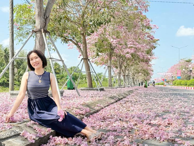 Du khách mê mẩn với hoa kèn hồng ở Cần Thơ