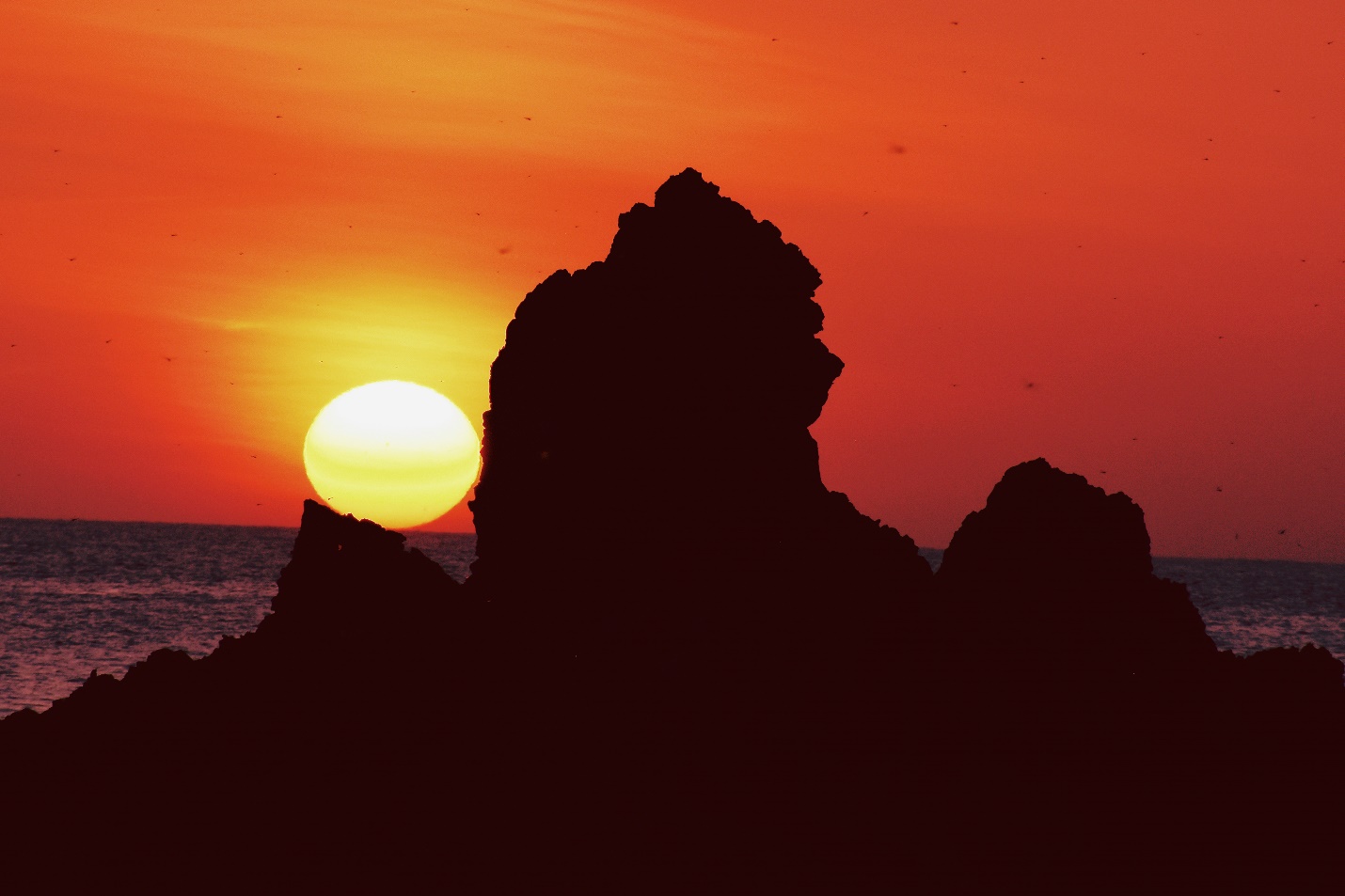 chuoi su kien van hoa, the thao va du lich tuan le khai mac nam du lich quoc gia - gia lai 2026 - 2