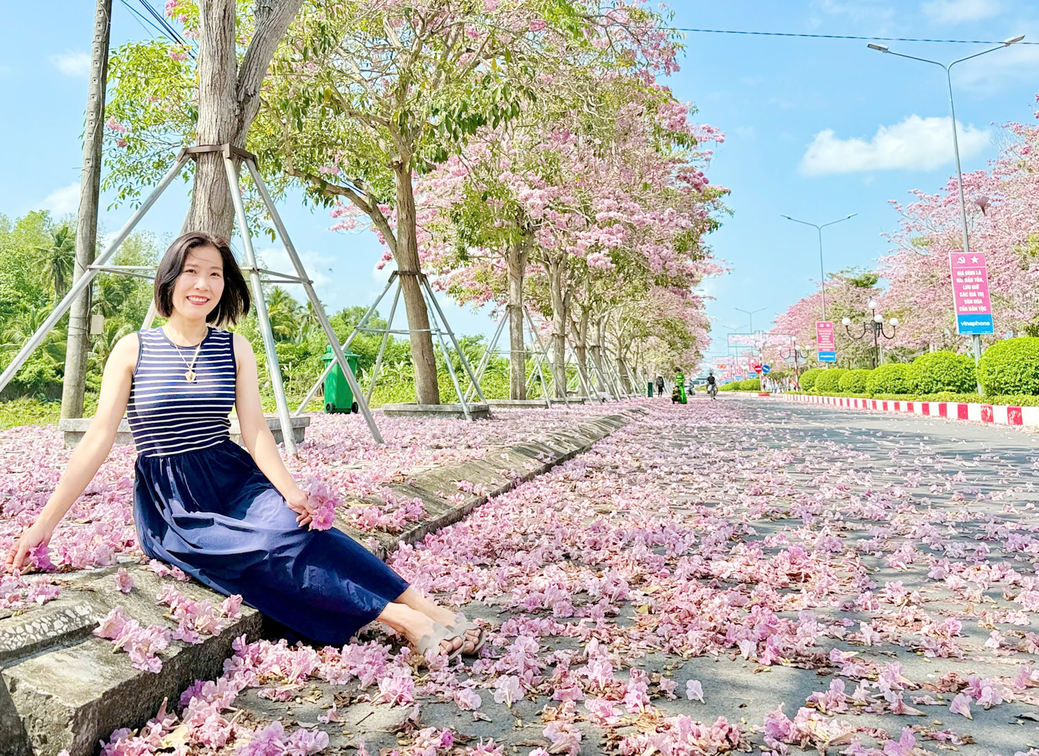 Du khách mê mẩn với hoa kèn hồng ở Cần Thơ - 4