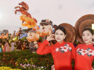 Chuyển động - Chuỗi sự kiện văn hóa, thể thao và du lịch Tuần lễ Khai mạc Năm Du lịch quốc gia - Gia Lai 2026