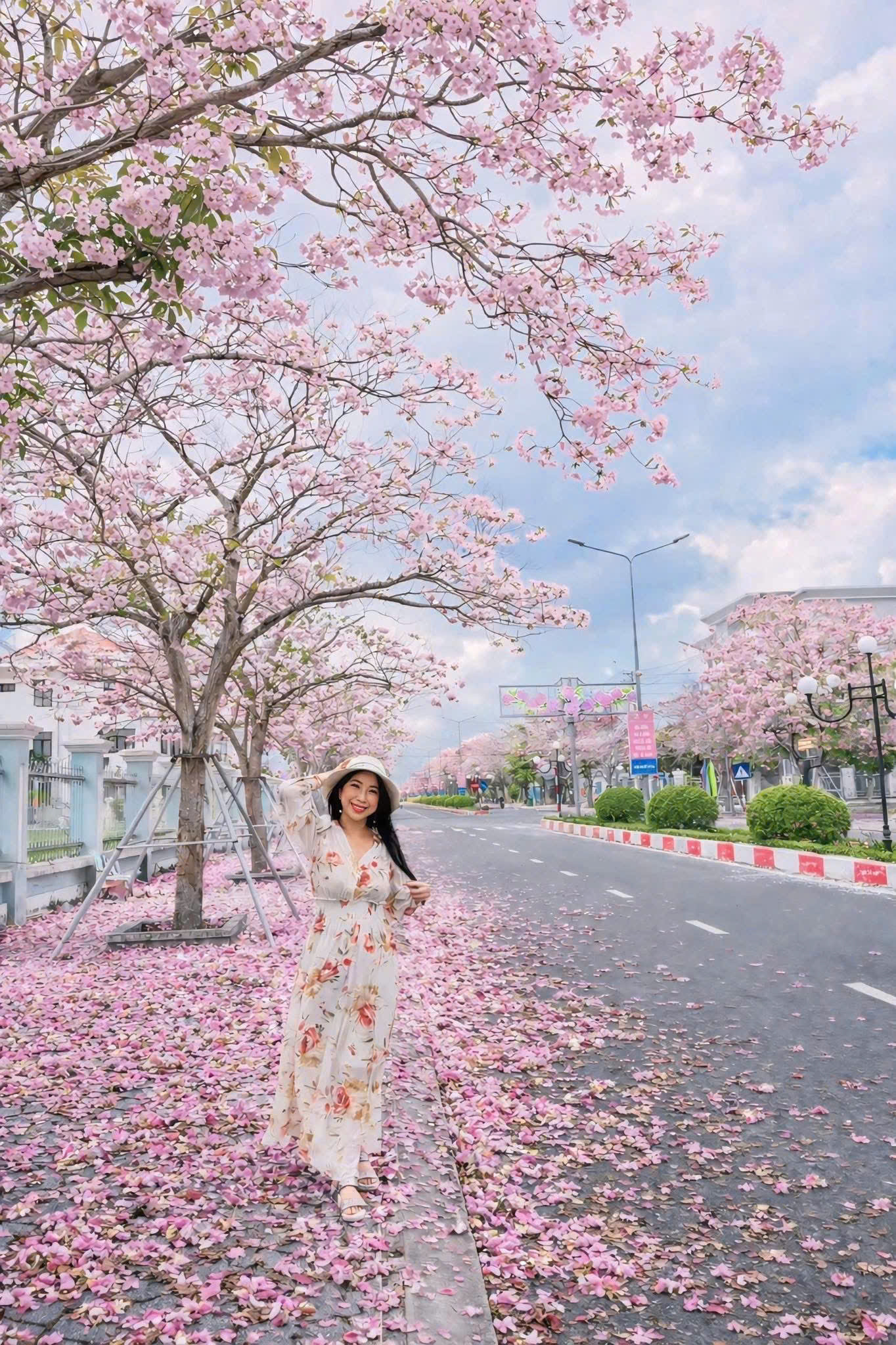 Thêm nhiều điểm check-in hoa kèn hồng tuyệt đẹp ở Cần Thơ - 1