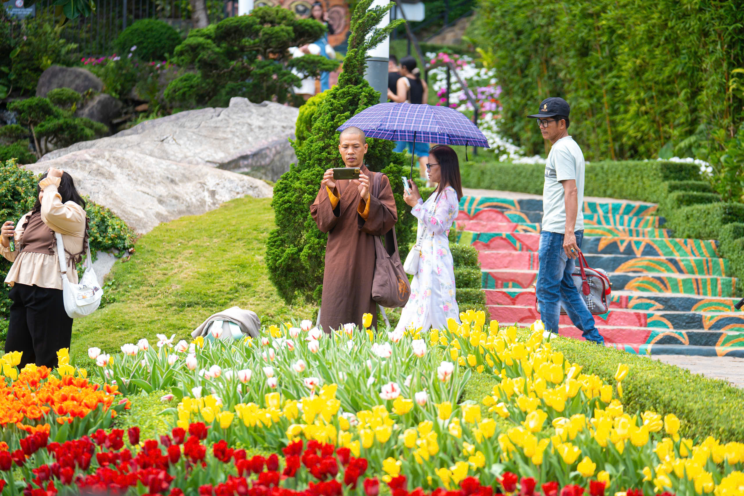 Lên đỉnh núi Bà Đen giữa mùa hoa tulip rực rỡ - 8