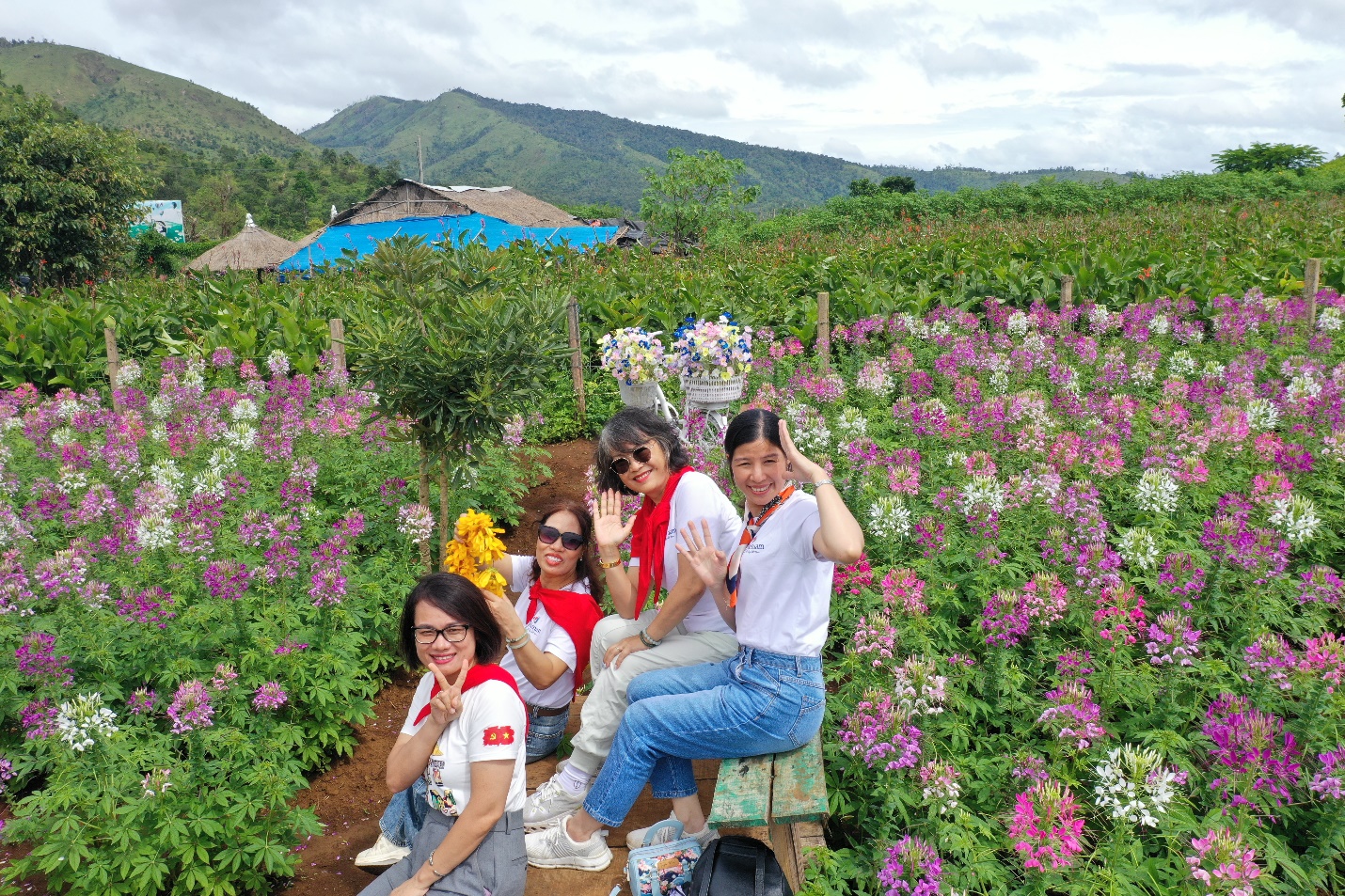 nam du lich quoc gia - gia lai 2026: dai ngan ket noi voi bien xanh hap dan du khach - 2