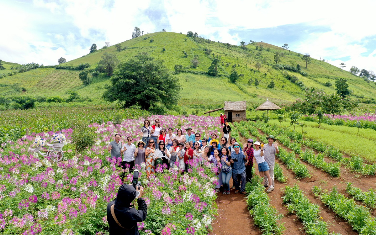 nam du lich quoc gia - gia lai 2026: dai ngan ket noi voi bien xanh hap dan du khach - 3