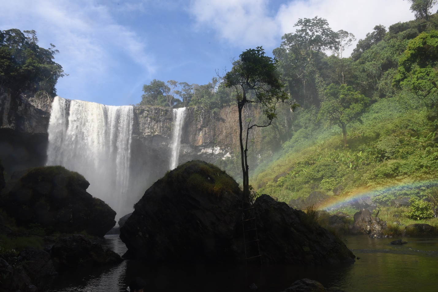 khoang 50.000 nguoi dan, du khach du le khai mac nam du lich quoc gia - gia lai 2026, - 8