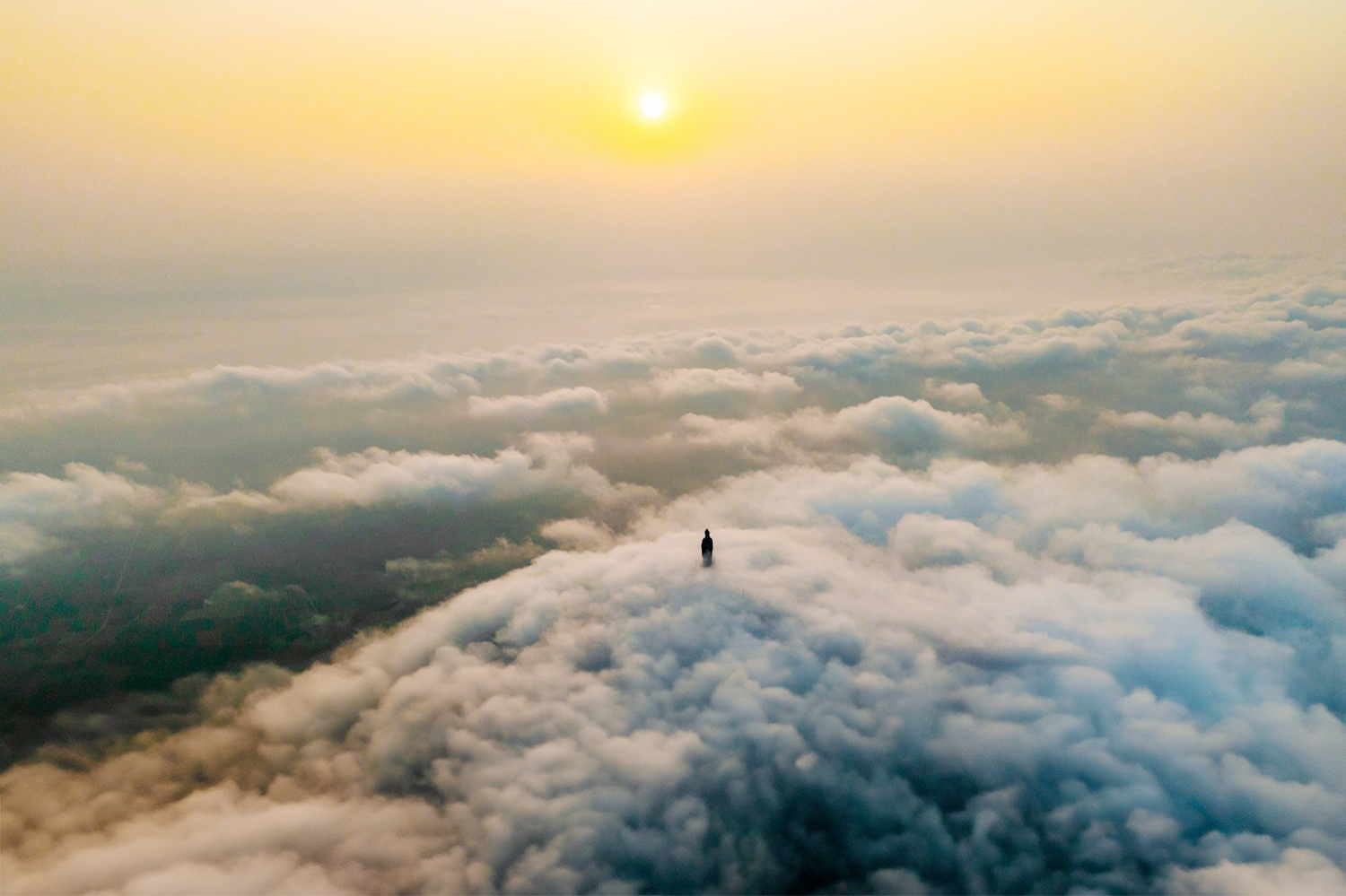 Hoa vông nem vào mùa nở rộ như ‘lửa đỏ’ khắp núi Bà Đen - 7