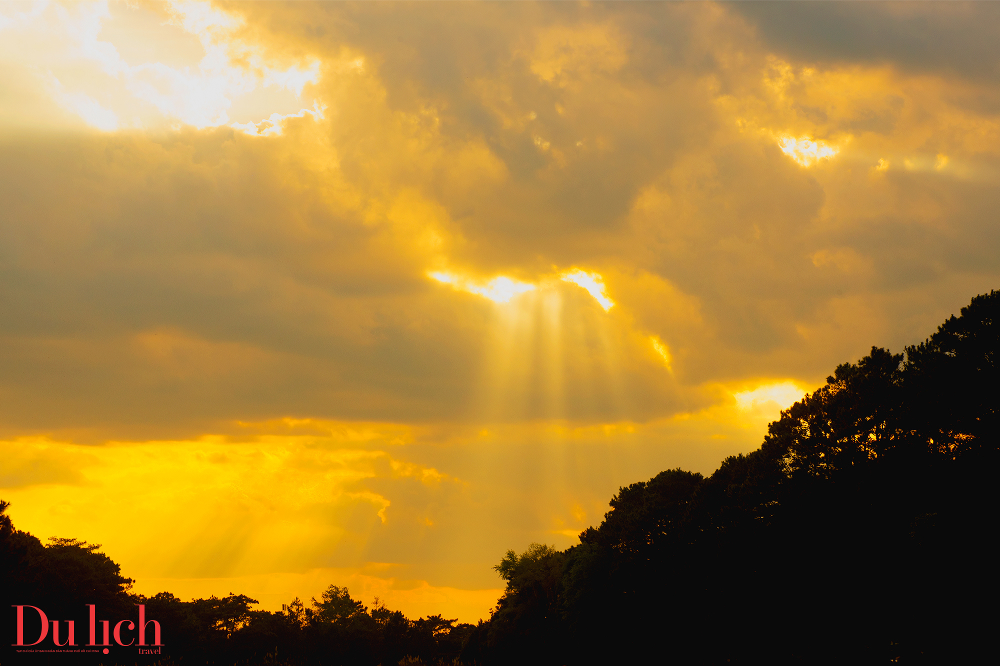 hoang hon day chat tho o thien duong nghi duong mang den - 9