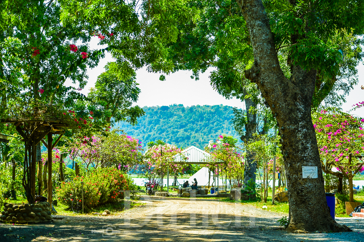 Đánh thức di sản Dầu Tiếng: Thiên đường dã ngoại kiến tạo hệ sinh thái du lịch bền vững - 2