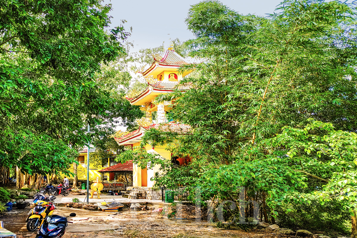 Đánh thức di sản Dầu Tiếng: Thiên đường dã ngoại kiến tạo hệ sinh thái du lịch bền vững - 12