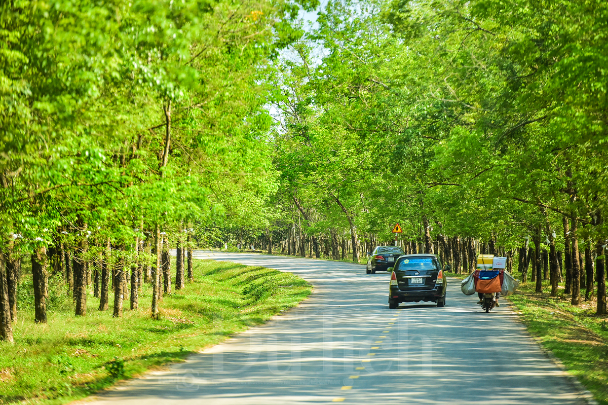 Đánh thức di sản Dầu Tiếng: Thiên đường dã ngoại kiến tạo hệ sinh thái du lịch bền vững - 6