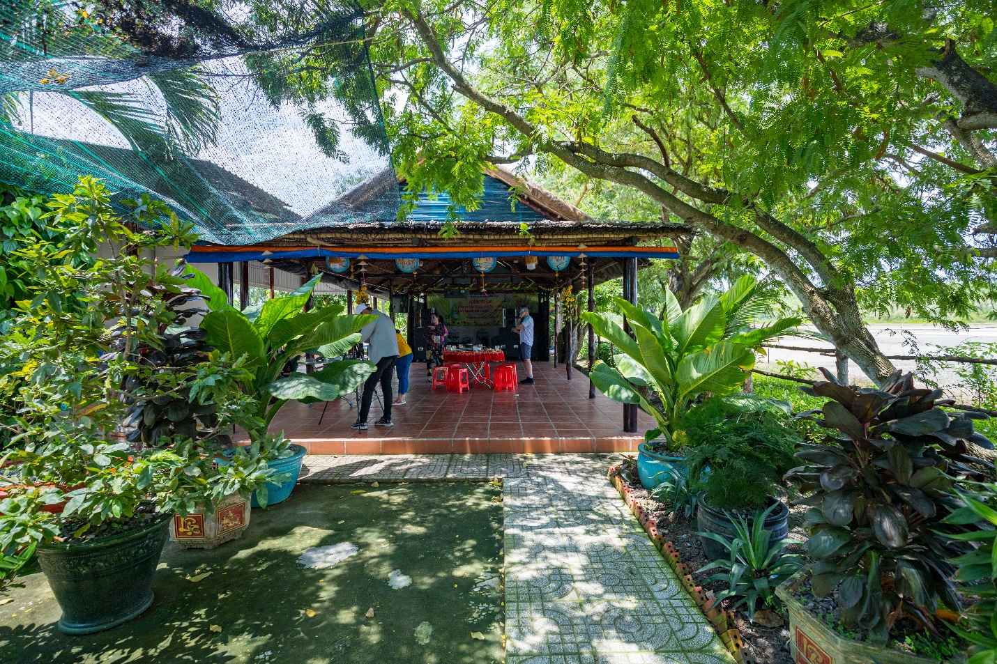 suc hap dan tu 'thanh pho khong ngu' vuon tam the gioi - 15