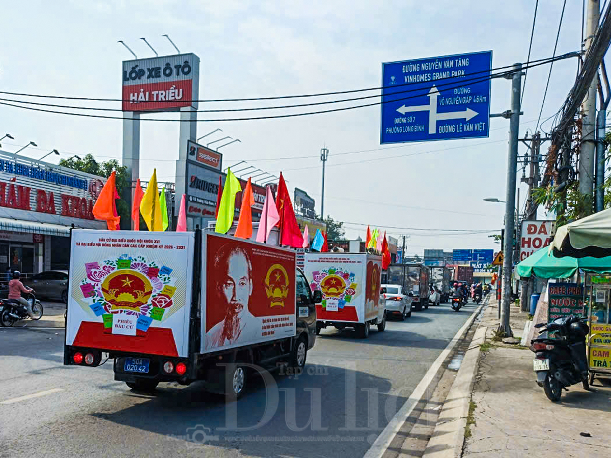 Rạng rỡ cờ hoa, TP.HCM sẵn sàng cho ngày hội non sông - 3