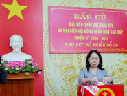 Chuyển động - Lãnh đạo Trung ương và các tỉnh, thành bỏ phiếu cùng người dân miền Tây