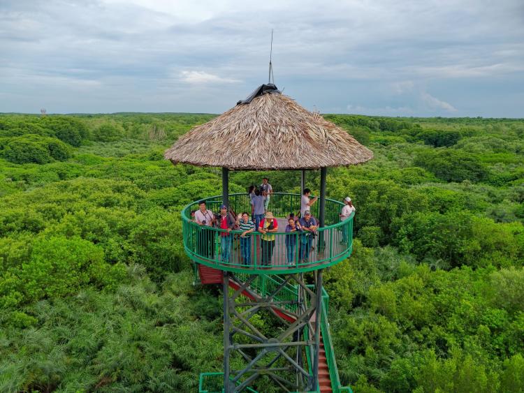 Đề án du lịch sinh thái rừng Cần Giờ mở hướng khai thác du lịch bền vững