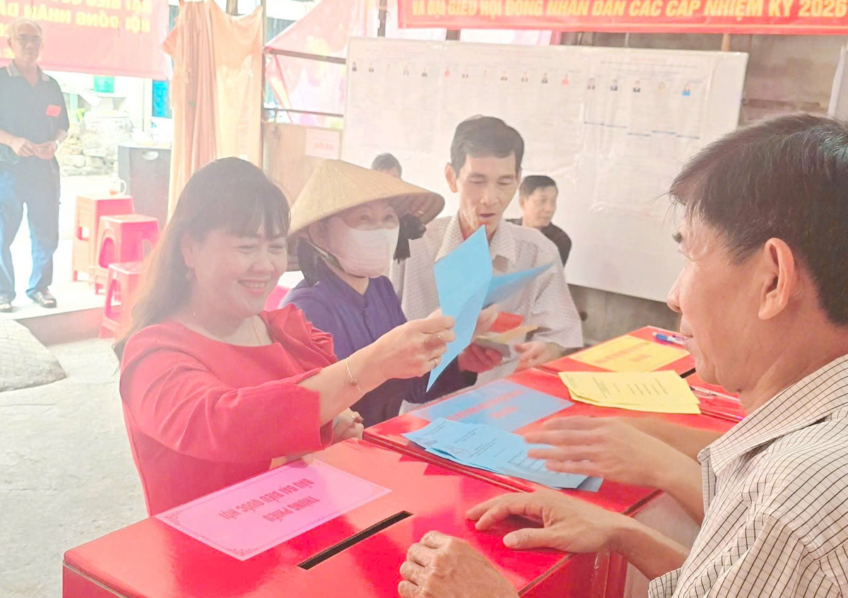 Vĩnh Long và Cà Mau có hơn 99,9% cử tri bỏ phiếu bầu - 6