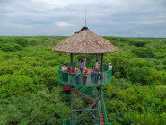 Đề án du lịch sinh thái rừng Cần Giờ mở hướng khai thác du lịch bền vững