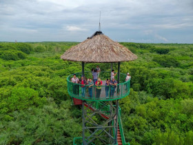  - Đề án du lịch sinh thái rừng Cần Giờ mở hướng khai thác du lịch bền vững