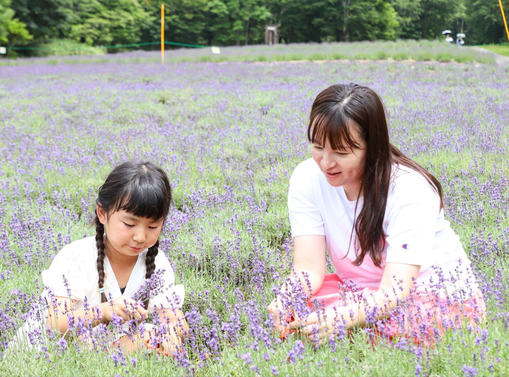 kanto ruc ro nhung mua hoa - 13