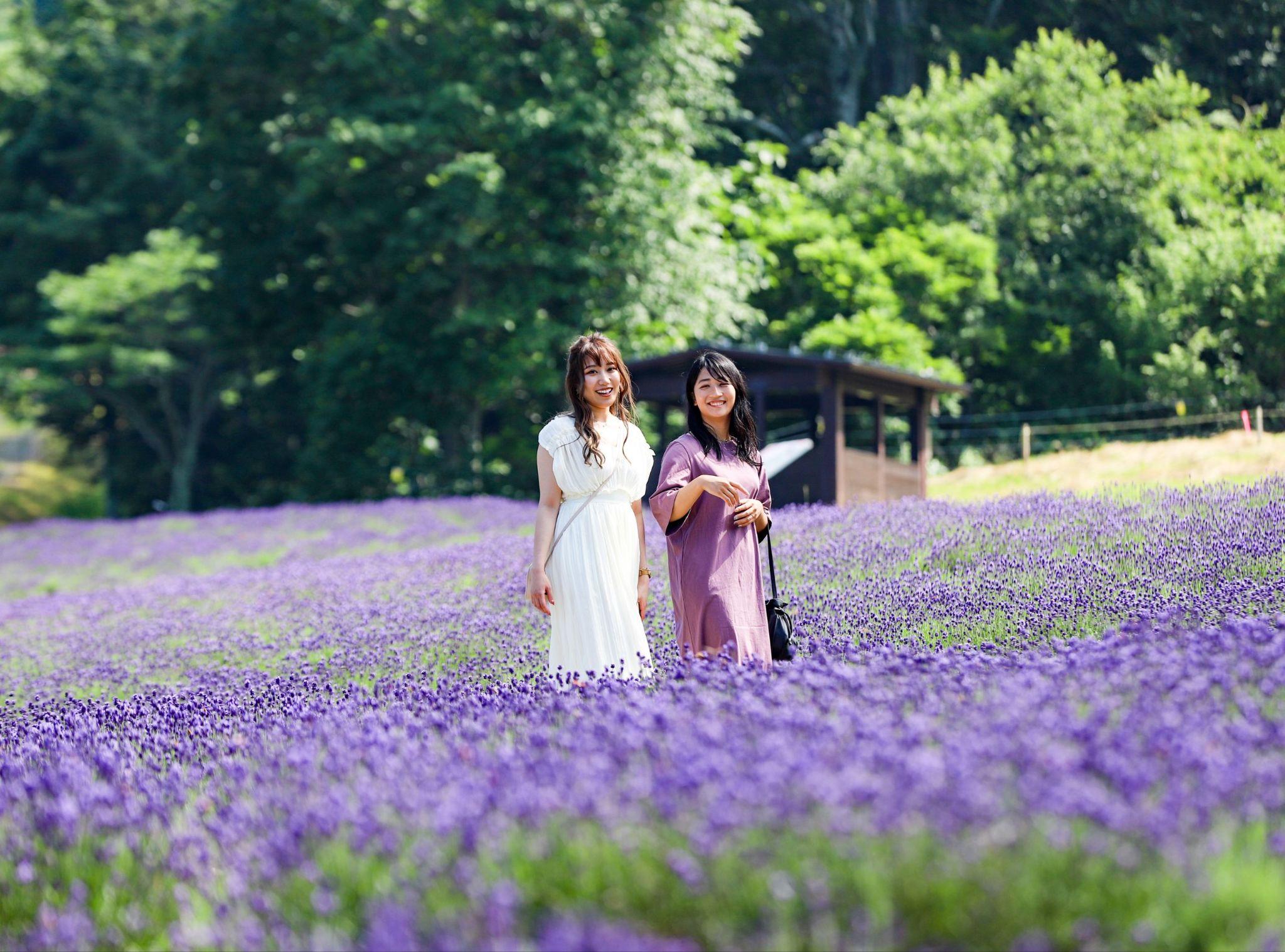 kanto ruc ro nhung mua hoa - 11