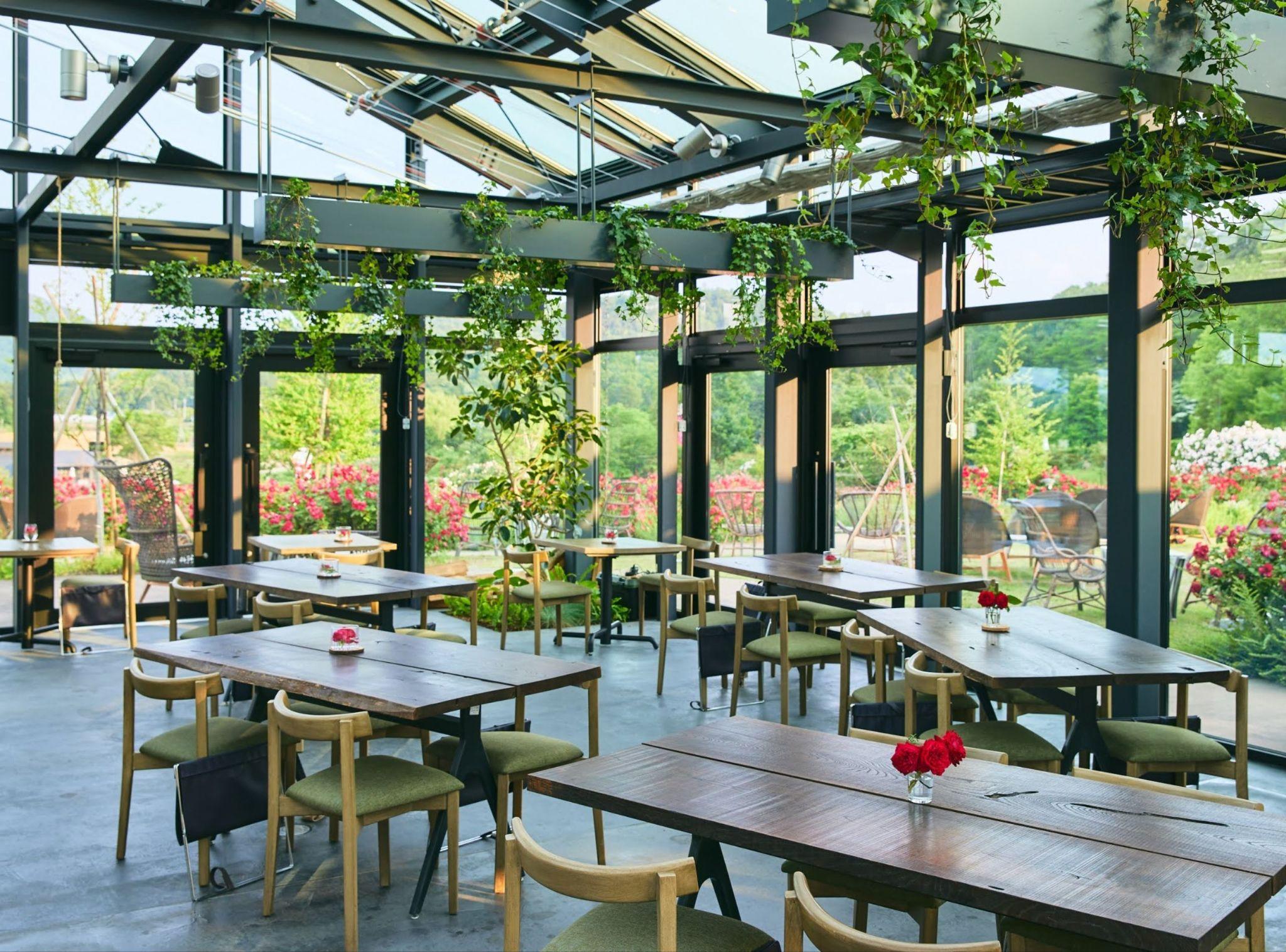 kanto ruc ro nhung mua hoa - 9