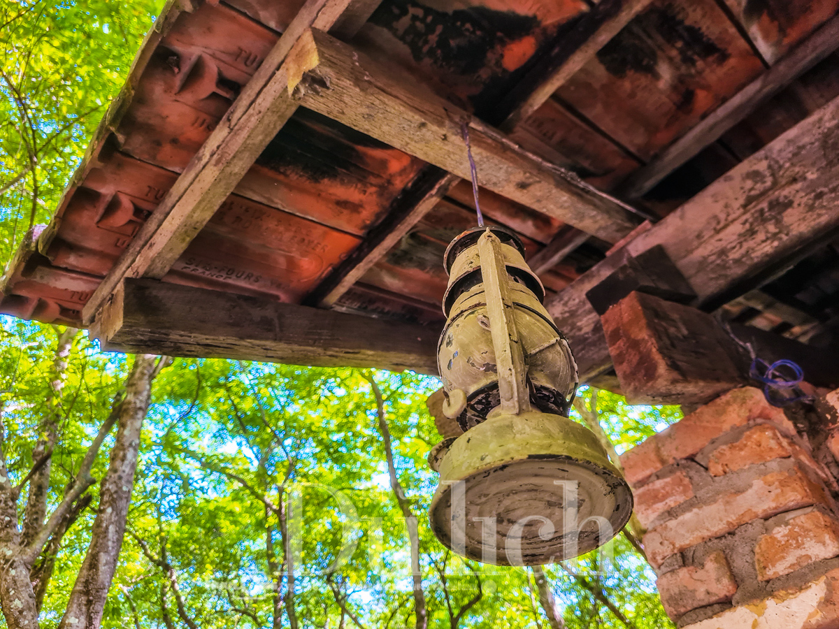 Rừng cao su trăm tuổi kể chuyện phận người ‘đi dễ khó về’ - 14